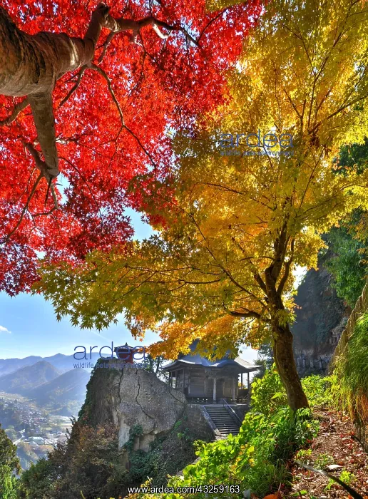 : Yamadera temple in autumn at yamada ken, Japan : Yamadera temple in autumn at yamada ken, Japan