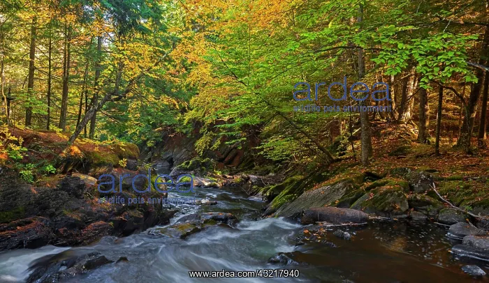  : Yamaska River in autumn, Eastern Townships, Quebec