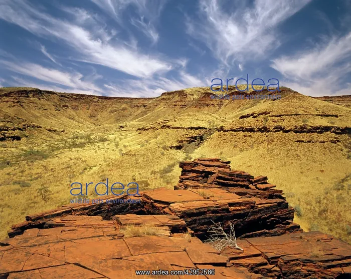 : Yampire Gorge - Karijini National Park, Pilbara : Yampire Gorge - Karijini National Park, Pilbara