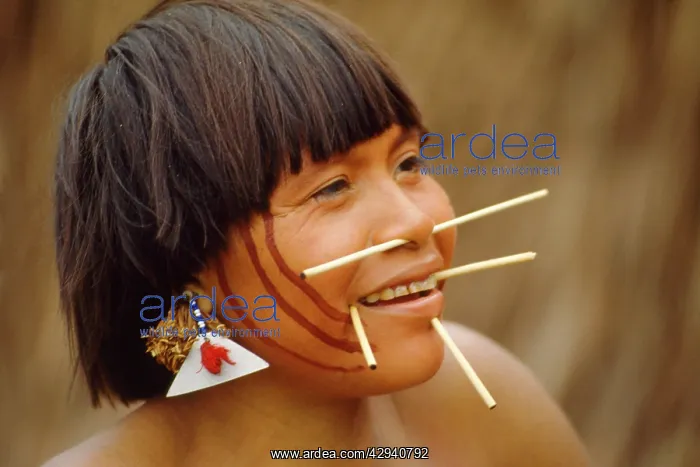 : YANOMAMO INDIAN GIRL : YANOMAMO INDIAN GIRL