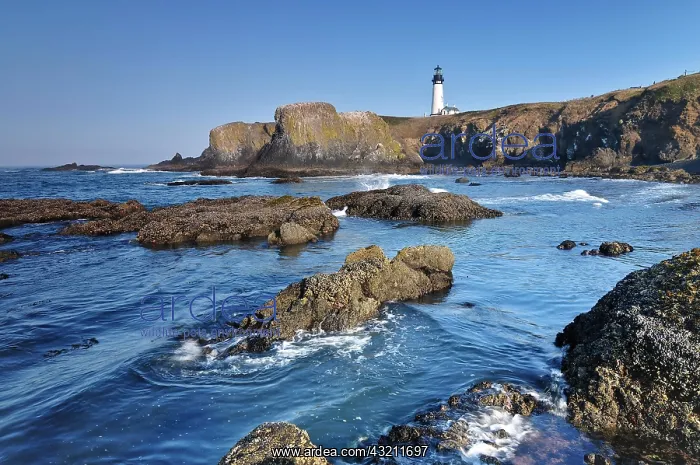 : Yaquina Bay lighthouse, Newport, Lincoln County : Yaquina Bay lighthouse, Newport, Lincoln County