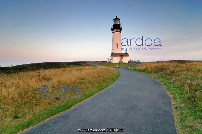 : Yaquina Head Lighthouse, tallest lighthouse in Oregon : Yaquina Head Lighthouse, tallest lighthouse in Oregon