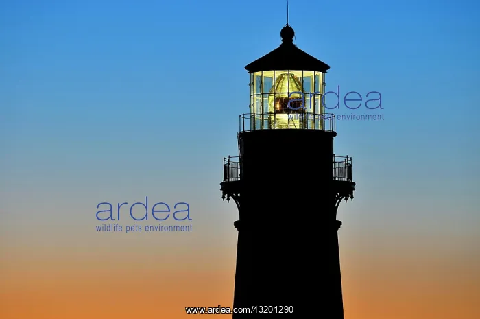 : Yaquina Head Lighthouse, tallest lighthouse in Oregon : Yaquina Head Lighthouse, tallest lighthouse in Oregon
