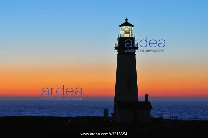 : Yaquina Head Lighthouse, tallest lighthouse in Oregon : Yaquina Head Lighthouse, tallest lighthouse in Oregon