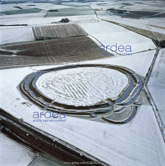 : Yarnbury Castle (Hill Fort) in snow, Wiltshire : Yarnbury Castle (Hill Fort) in snow, Wiltshire