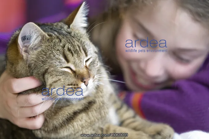 : Ten year old girl hugging her cat : Ten year old girl hugging her cat