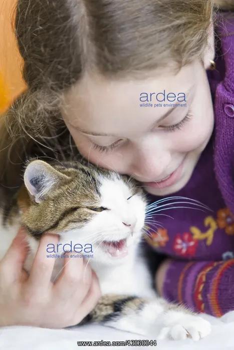 : Ten year old girl hugging her cat : Ten year old girl hugging her cat