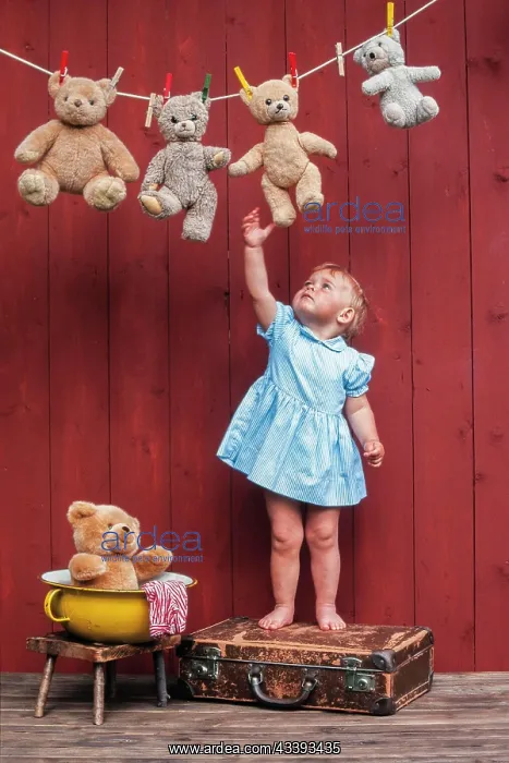 : Three year-old girl reaching for teddy bears on : Three year-old girl reaching for teddy bears on
