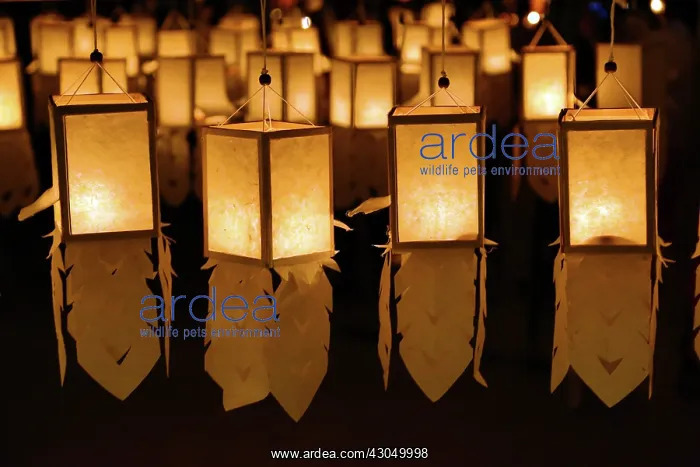 : The Yee Peng, Loy Krathong Festival started with the lig : The Yee Peng, Loy Krathong Festival started with the lig