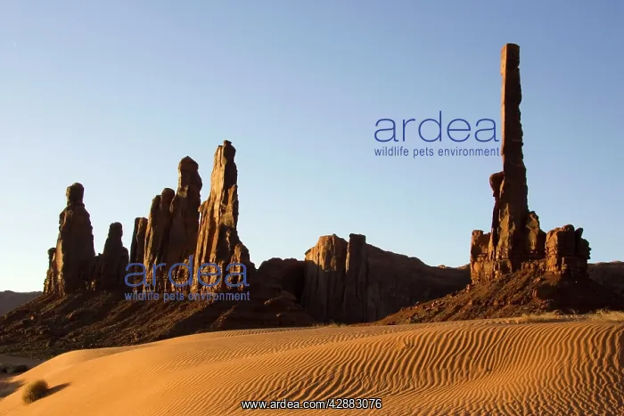 : Yei Bi Chei and Totem Pole (on the right) rock : Yei Bi Chei and Totem Pole (on the right) rock