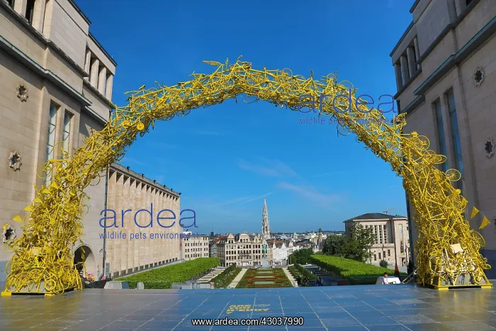 : Yellow Arch of bicycles at the Mont des Arts Gardens : Yellow Arch of bicycles at the Mont des Arts Gardens