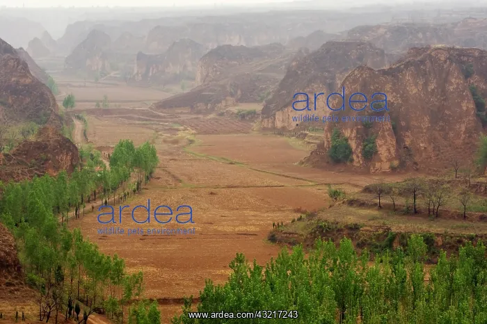 : Yellow River Valley, Shanxi Province, China : Yellow River Valley, Shanxi Province, China