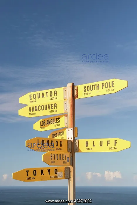 : Yellow signs, signposts with various travel destinations : Yellow signs, signposts with various travel destinations