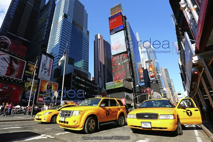: Yellow taxi cabs in Times Square, New York. America Pau : Yellow taxi cabs in Times Square, New York. America Pau