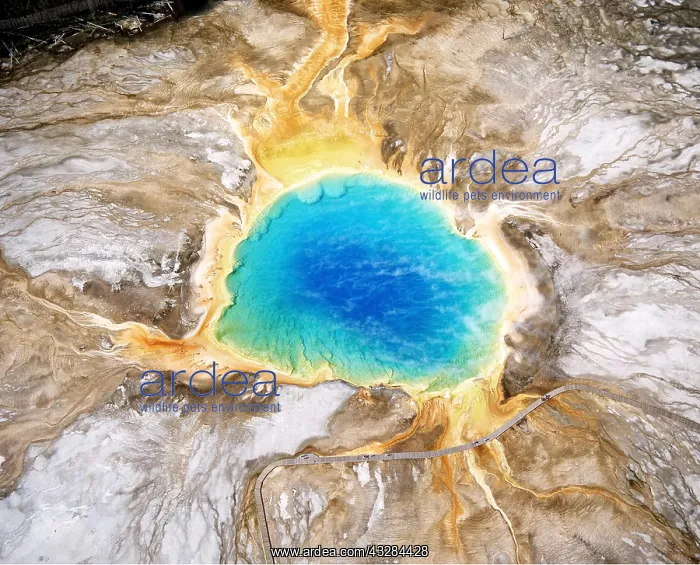 : Yellowstone National Park : Yellowstone National Park
