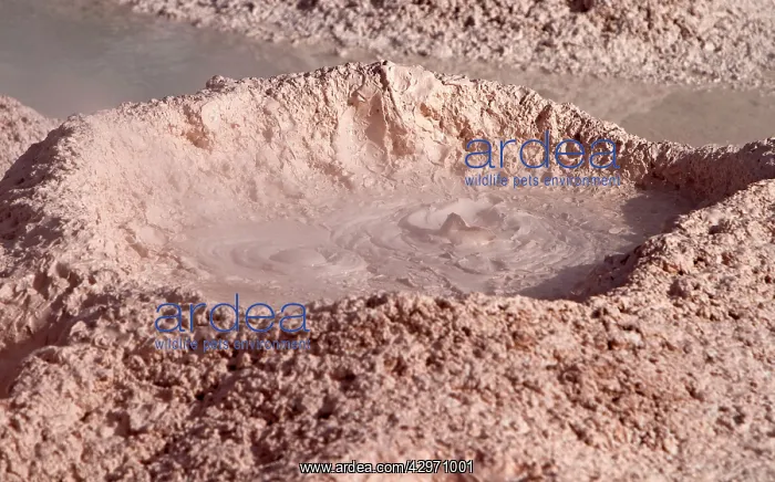 : Yellowstone National Park - bubbling mud of the : Yellowstone National Park - bubbling mud of the