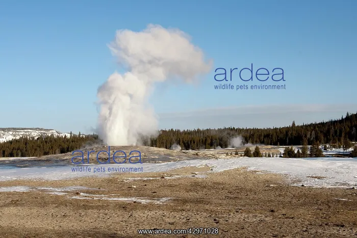  : Yellowstone National Park - Old Faithful - geyser