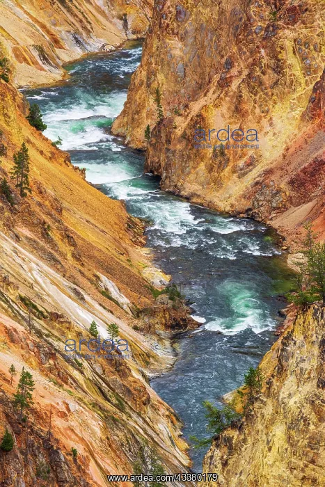 : The Yellowstone River in the Grand Canyon of the : The Yellowstone River in the Grand Canyon of the