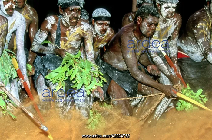  : Yolngu Aboriginal People - Dancing at Garma festival