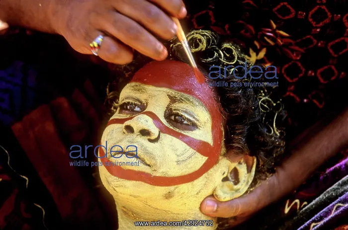 : Yolngu Aborigine - being painted for Garma festival : Yolngu Aborigine - being painted for Garma festival
