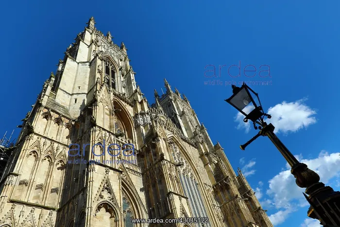 : York Minster Cathedral in York, Yorkshire, England : York Minster Cathedral in York, Yorkshire, England