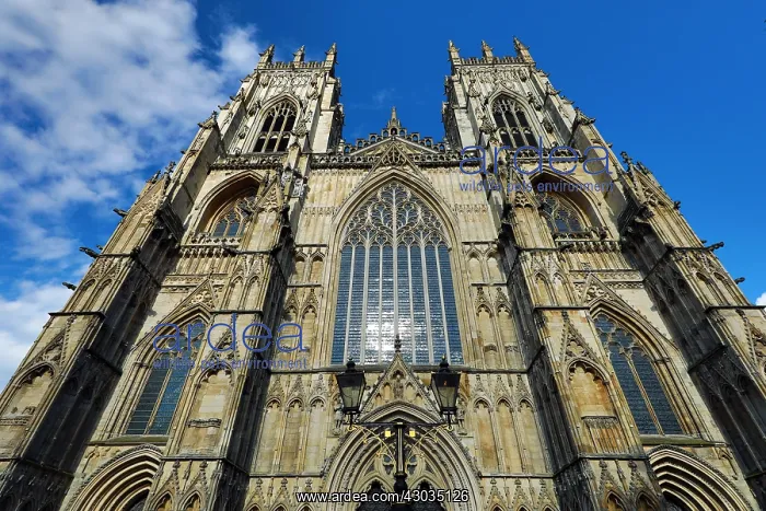 : York Minster Cathedral in York, Yorkshire, England : York Minster Cathedral in York, Yorkshire, England