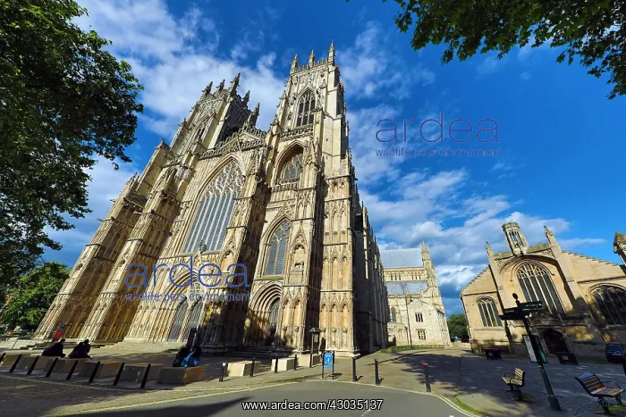 : York Minster Cathedral in York, Yorkshire, England : York Minster Cathedral in York, Yorkshire, England