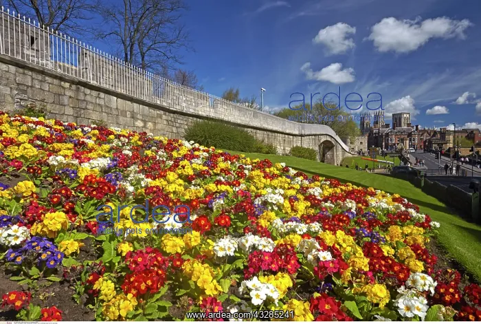: York Minster seen from the City Walls, England : York Minster seen from the City Walls, England