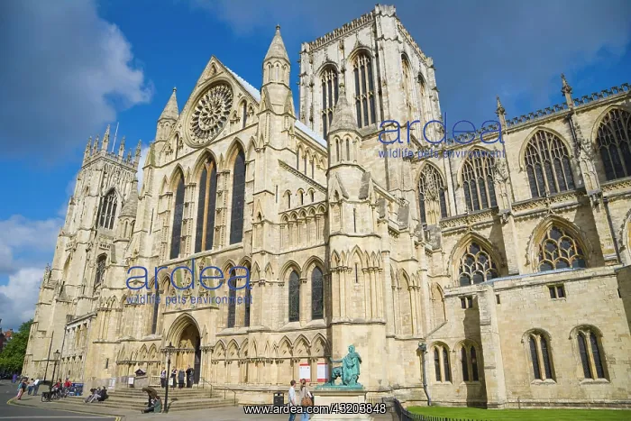 : York Minster south entrance, York, Yorkshire, England : York Minster south entrance, York, Yorkshire, England