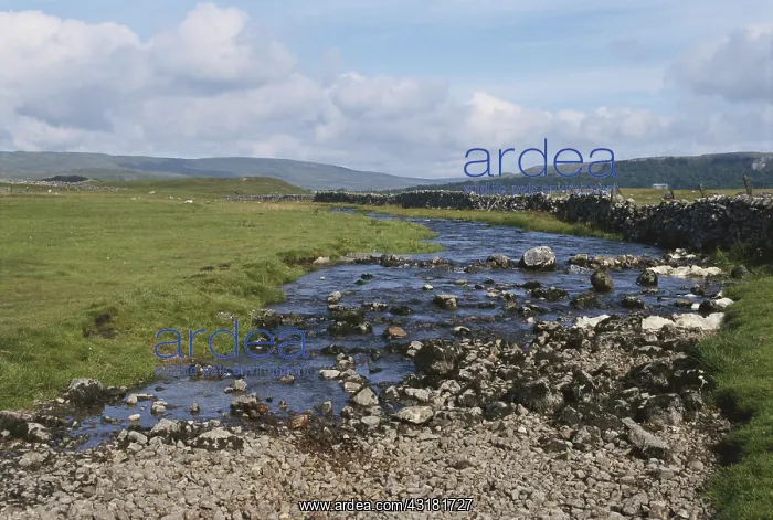 : Yorkshire Dales, UK : Yorkshire Dales, UK