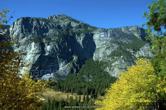 : Yosemite National Park : Yosemite National Park
