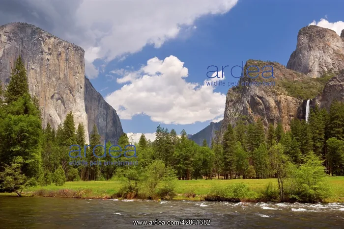 : Yosemite Valley with Merced River in the foreground : Yosemite Valley with Merced River in the foreground