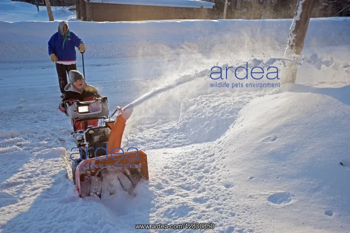 : Young boy digging out from snow storm - using snow : Young boy digging out from snow storm - using snow