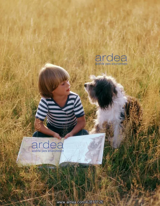 : Young boy reading with his dog, a Bearded Collie : Young boy reading with his dog, a Bearded Collie