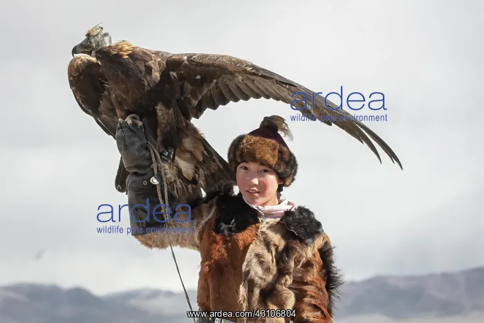 : Young eagle hunter with her female eagle, Olgii : Young eagle hunter with her female eagle, Olgii