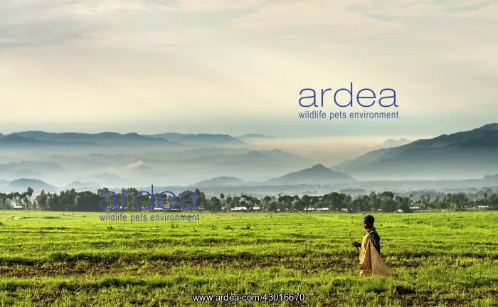  : Young Farmer at dawn