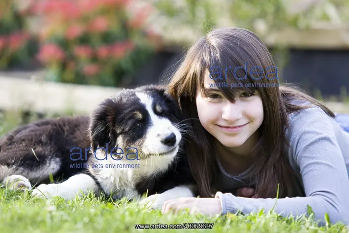 : Young Girl and Australian Shepherd pupy lying in grass : Young Girl and Australian Shepherd pupy lying in grass