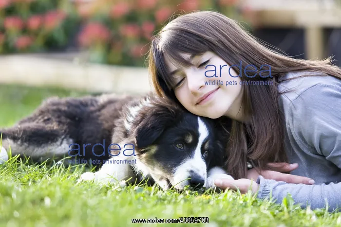 : Young Girl and Australian Shepherd pupy lying in grass : Young Girl and Australian Shepherd pupy lying in grass