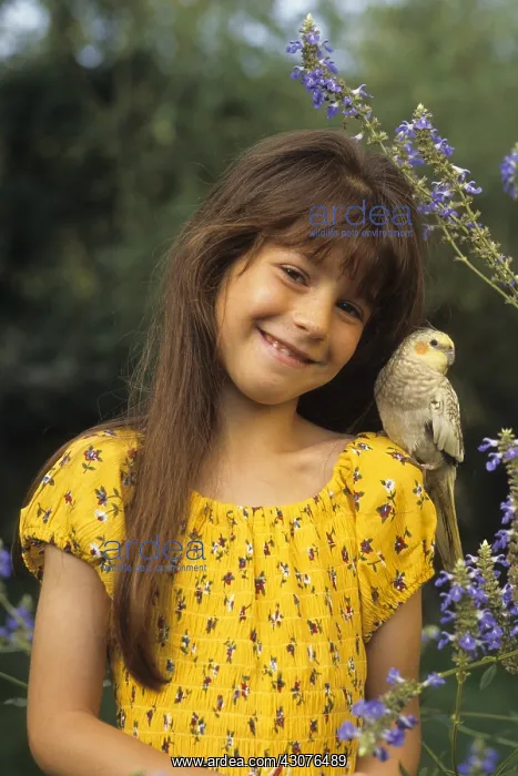  : Young girl carrying a Cockatiel on her shoulder