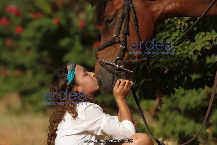 : Young girl cuddling her horse - Senegal : Young girl cuddling her horse - Senegal