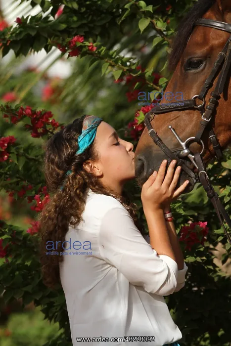 : Young girl cuddling her horse - Senegal : Young girl cuddling her horse - Senegal