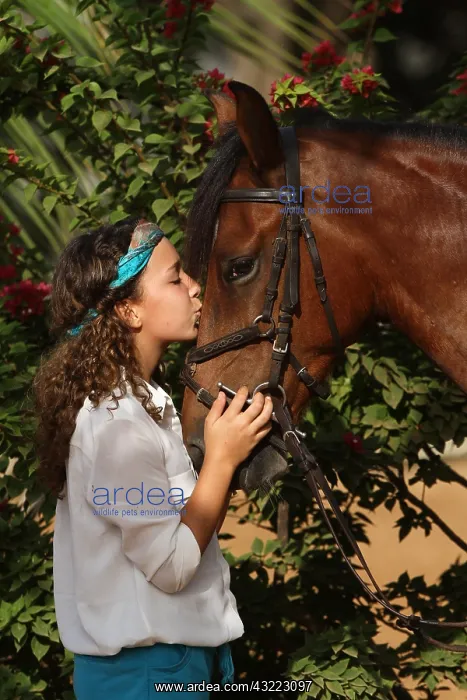: Young girl cuddling her horse - Senegal : Young girl cuddling her horse - Senegal