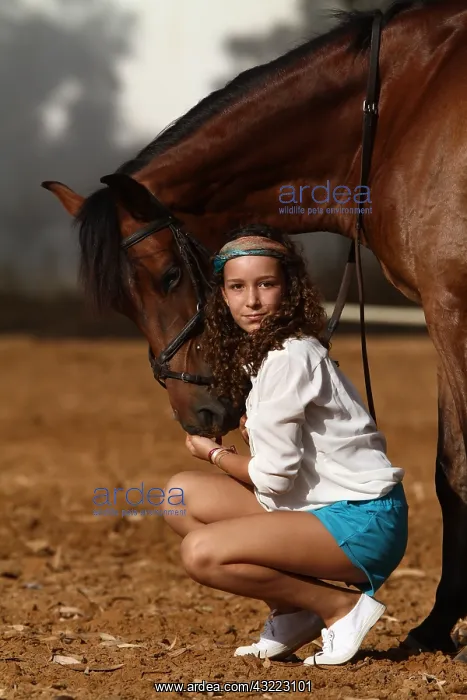 : Young girl cuddling her horse - Senegal : Young girl cuddling her horse - Senegal