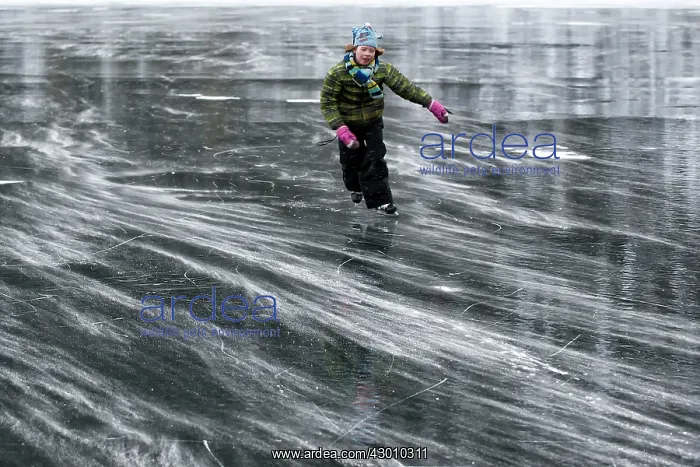 : Young Girl ice skating on the smooth ice of a frozen : Young Girl ice skating on the smooth ice of a frozen