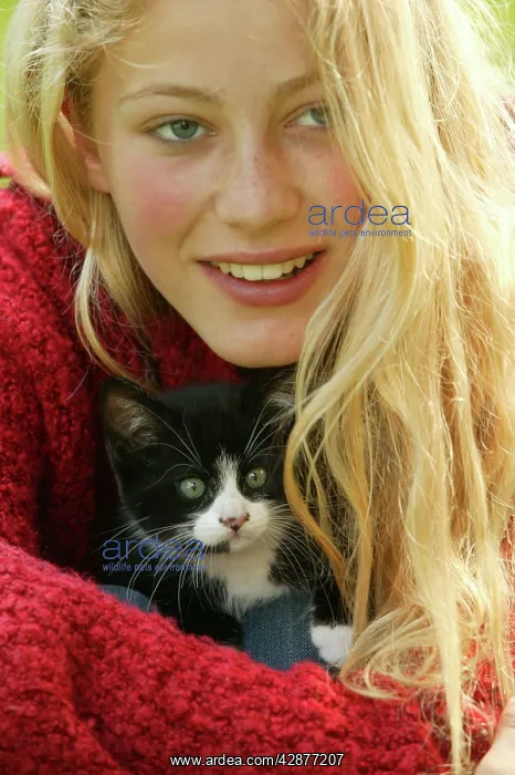 : Young GIRL - with kitten : Young GIRL - with kitten
