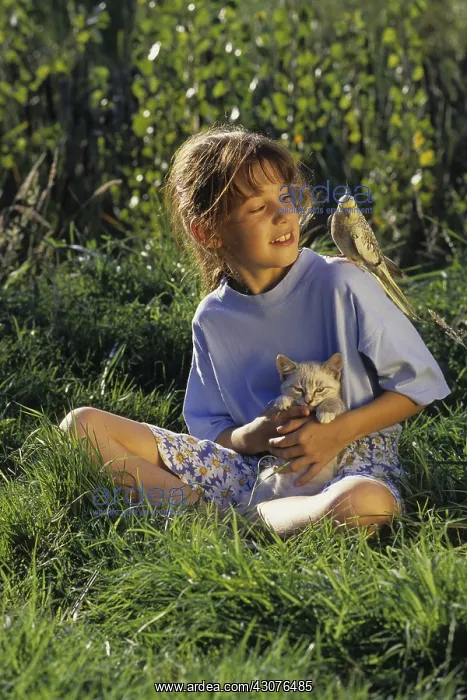 : Young girl with a kitten and a Cockatiel on her shoulder : Young girl with a kitten and a Cockatiel on her shoulder