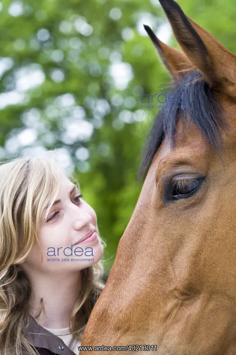 : Young girl looking at the head of a Horse France : Young girl looking at the head of a Horse France