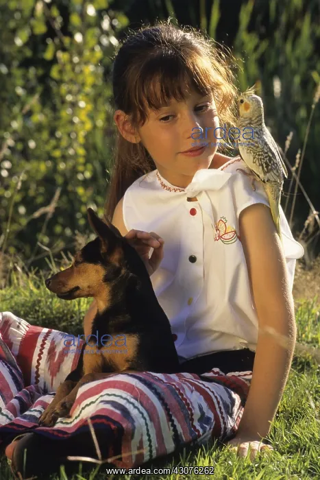 : Young girl with Pinscher dog and Cockatiel : Young girl with Pinscher dog and Cockatiel