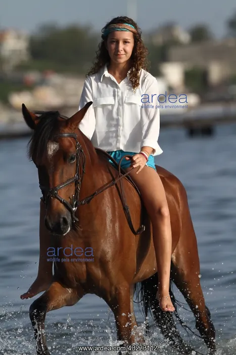  : Young girl riding bareback in the sea - Senegal