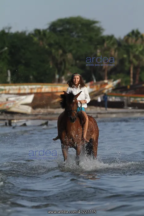 : Young girl riding bareback in the sea - Senegal : Young girl riding bareback in the sea - Senegal